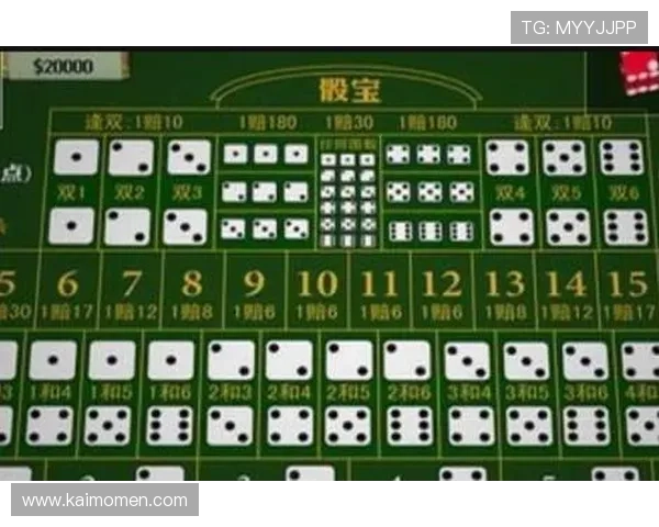 骰宝投注方式详解让你在赌场中稳操胜券提升盈利能力