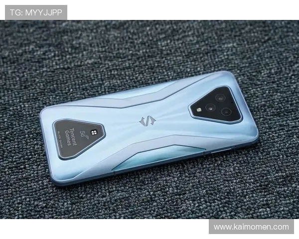 凯发网址如何保障玩家账号安全与隐私保护全面提升您的游戏体验